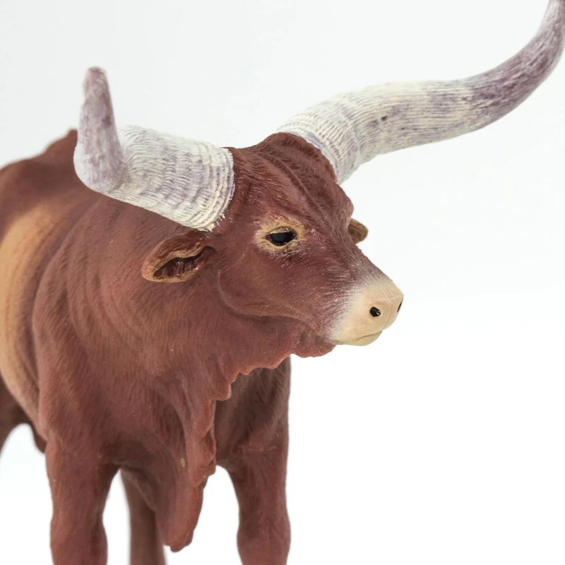 100202-watusi2.jpg