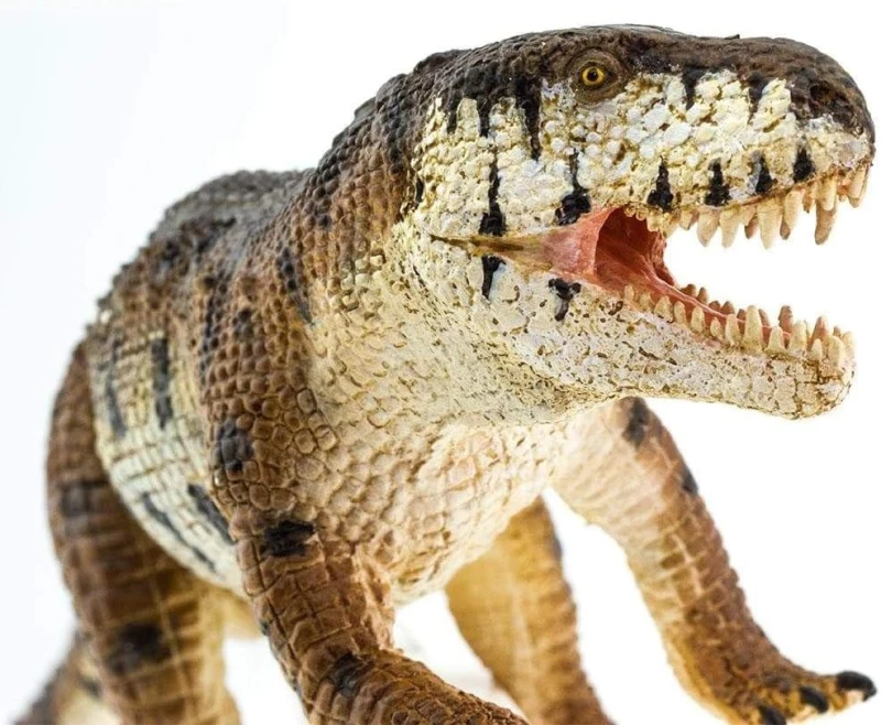 100249-prestosuchus2.jpg