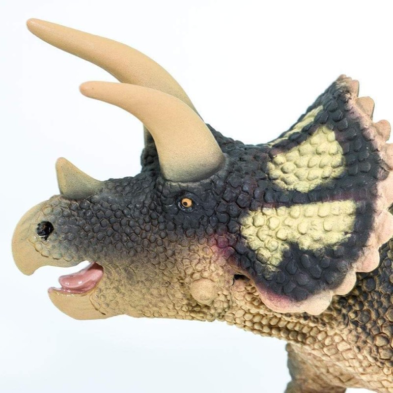 100153-triceratops3.jpg