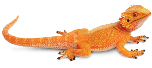 Safari - Figurka Agama brodata – 263129