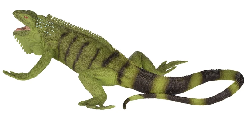 iguana-2.png