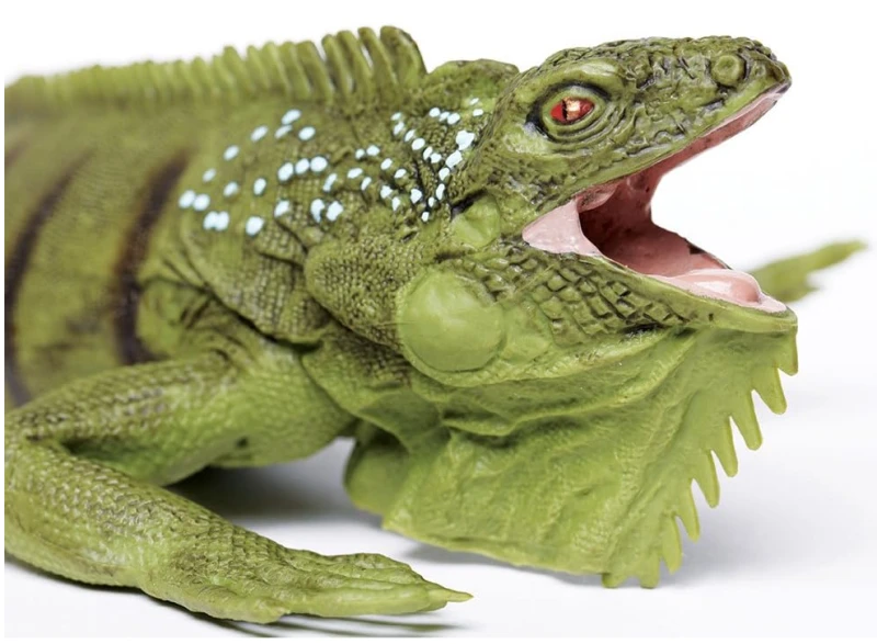 iguana-3.png