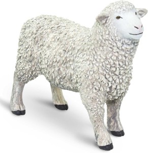 Safari Ltd - Figurka Owca 162429