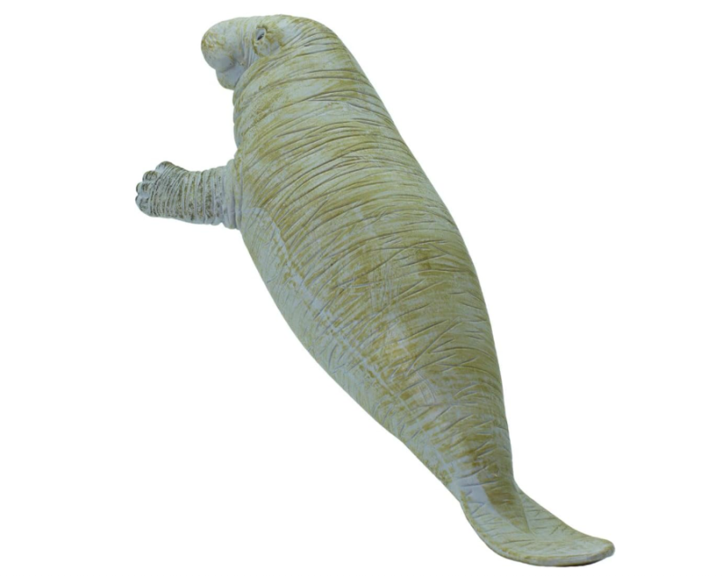 manat-1.png