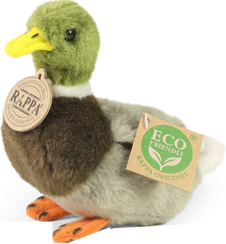 kaczka (1).jpg