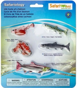 Safari Ltd - Zestaw figurek - Cykl życia łososia 1000267