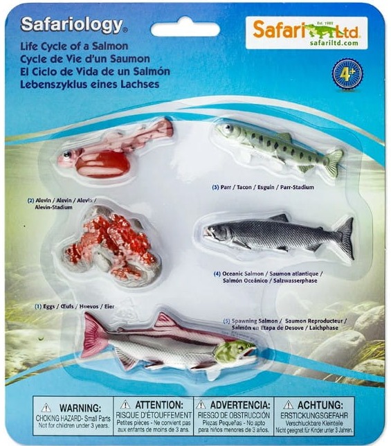 Safari Ltd - Zestaw figurek - Cykl życia łososia 1000267