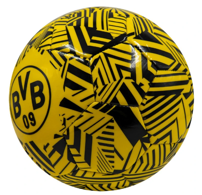 borussia-1.png