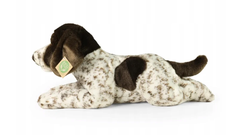 wyżeł niemiecki-1.png