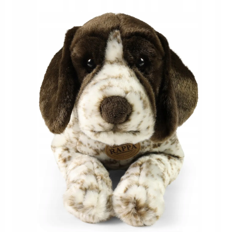 wyżeł niemiecki-2.png