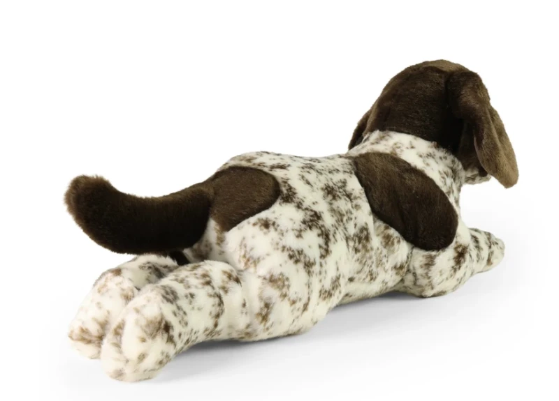 wyżeł niemiecki-3.png