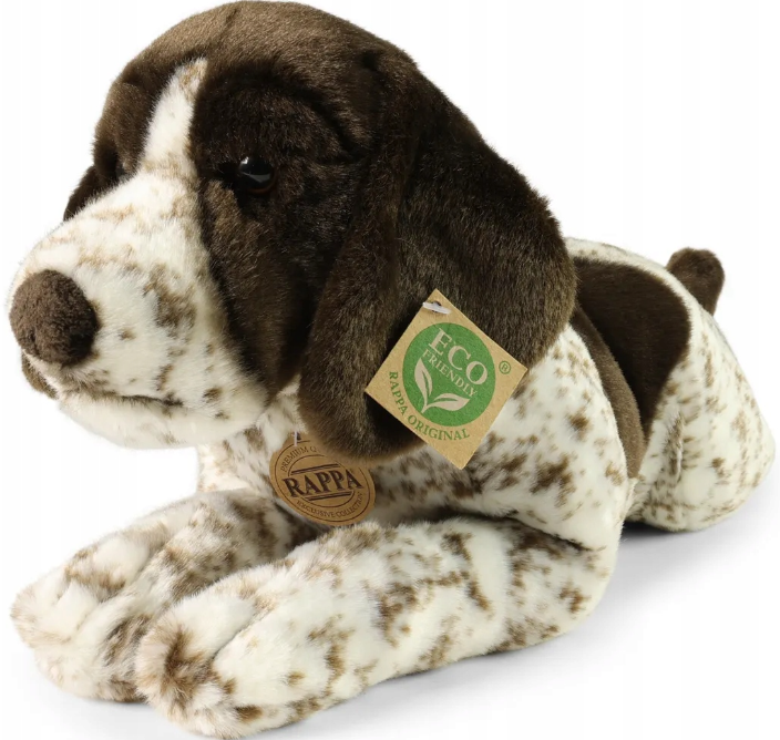 wyżeł niemiecki.png