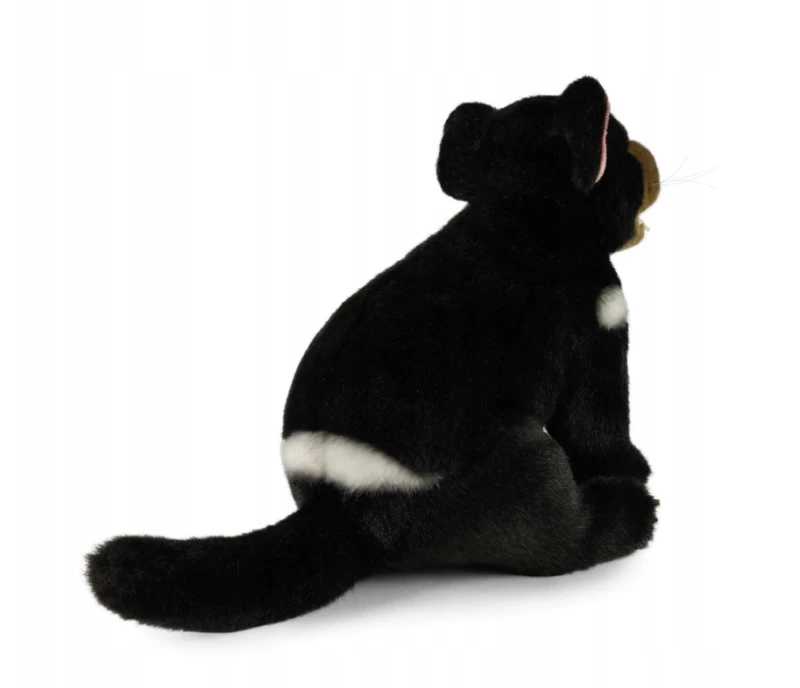 diabeł tasmański-2.png