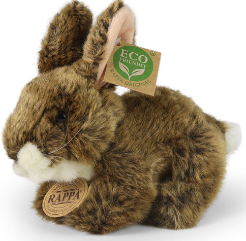 Zrzut ekranu 2025-06-17 081439.png