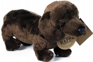 Rappa 183162 Pluszowy pies - Jamnik 19 cm ciemnobrązowy