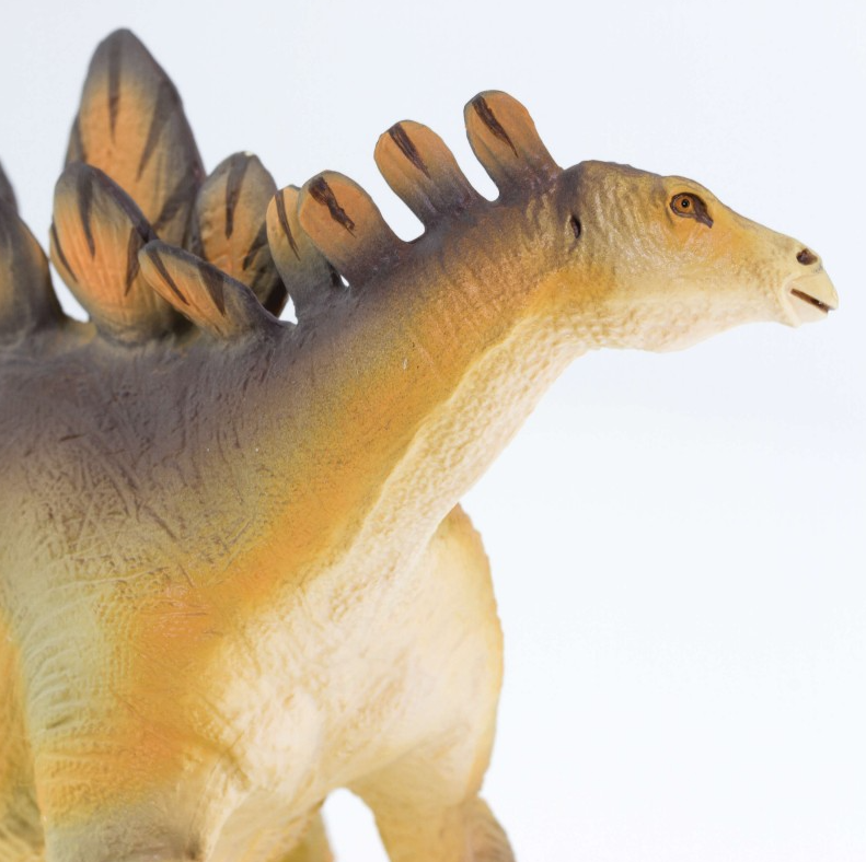 stegosaur-3.png