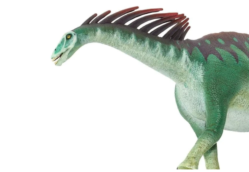 Amargasaurus-2.png