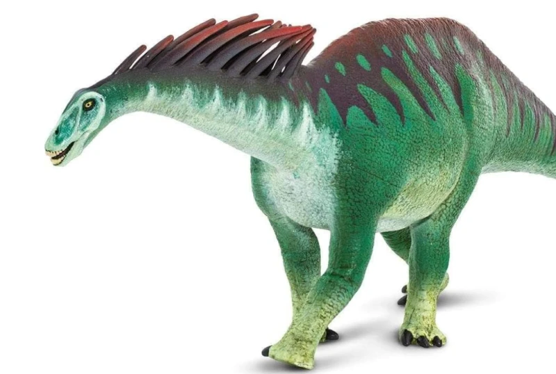 Amargasaurus-3.png
