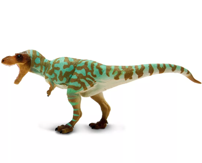 Albertosaurus .png