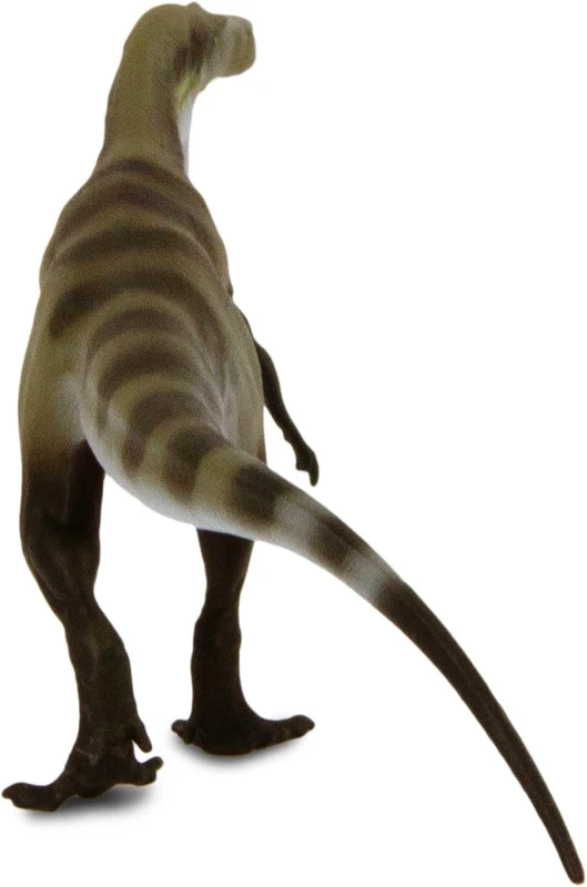 108202-megalosaurus3.jpg