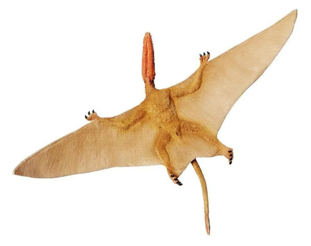 dimo3.PNG