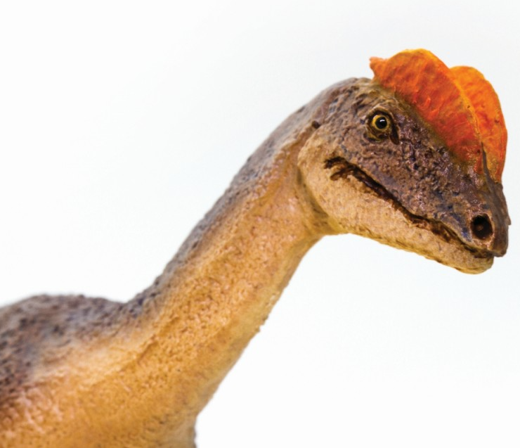 dilo2.PNG