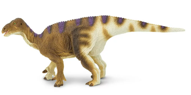 igu.PNG