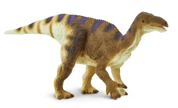 igu2.PNG