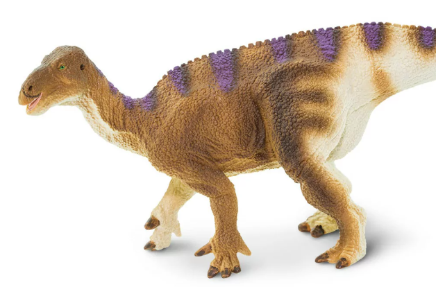 igu3.PNG