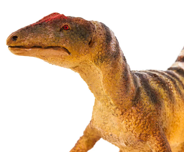 conca2.PNG
