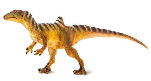 conca3.PNG