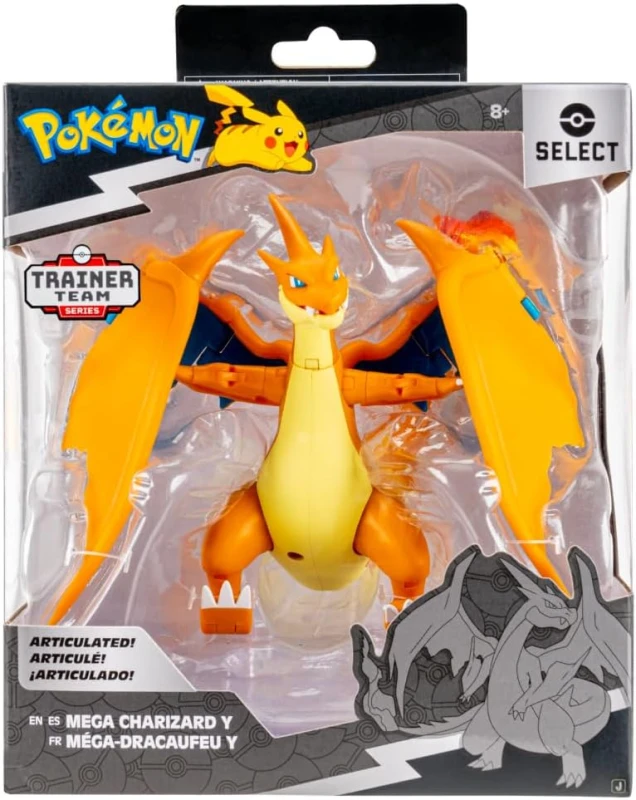 pkw4523-charizard2.jpg