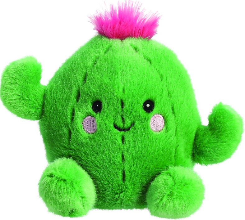 kaktus.png