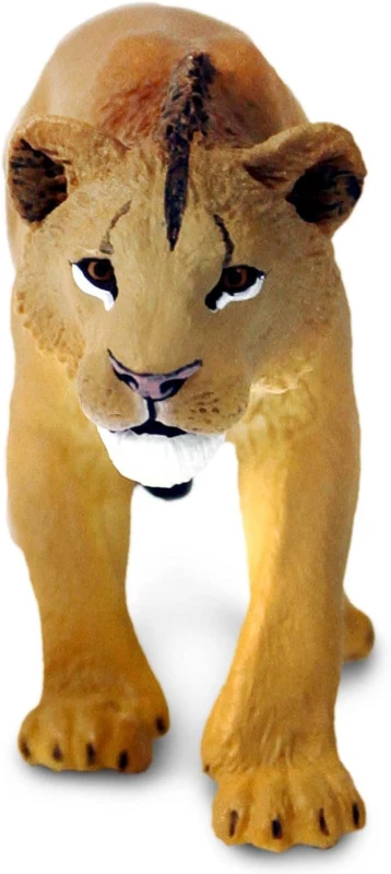 lews2.jpg