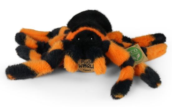 tara1.JPG