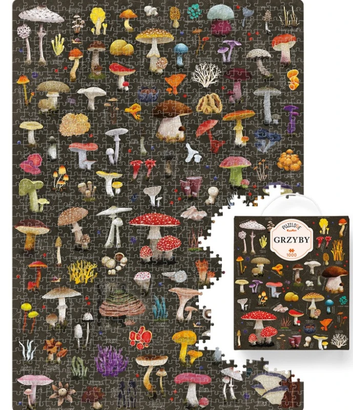 5902983492764_1.jpg