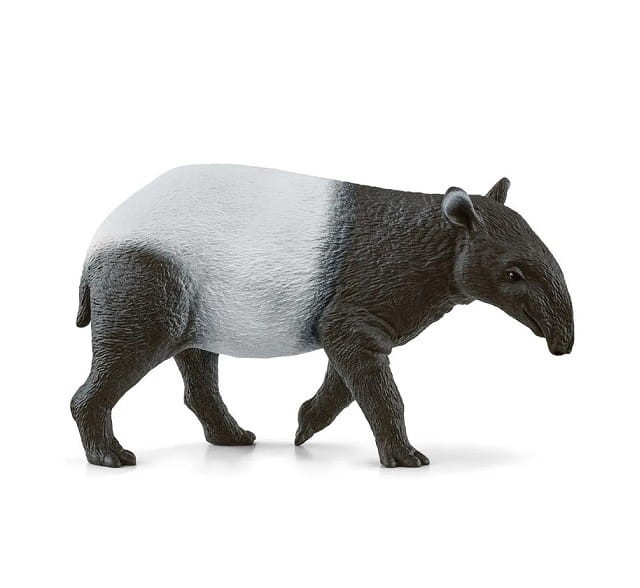 ba3cd4ea9b4eaacd21d01bf0dbc4c312