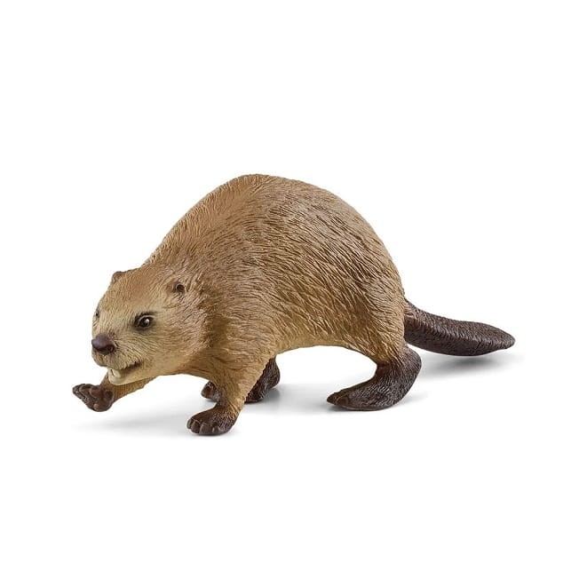 fd99b2fcbb9fdf21e4f28471cc315daa