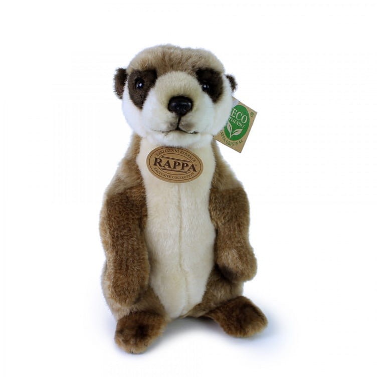 7f64b55c17034da0bd5021801a489860