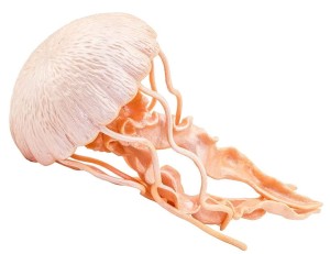 Safari Ltd - Figurka Meduza 265529