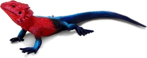 Safari Ltd - Figurka Agama Mwanzae 101081