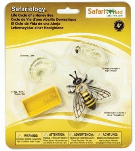 Safari Ltd - Zestaw figurek - Cykl życia pszczoły miodnej 622716