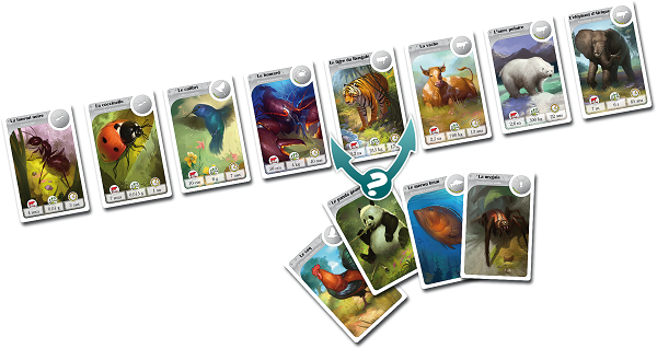 Asmodee Rebel - Gra towarzyska - Cardline Zwierzęta