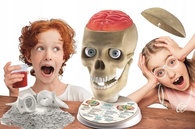 e1e2304291c5112d20d3a4f4ecbc00fc