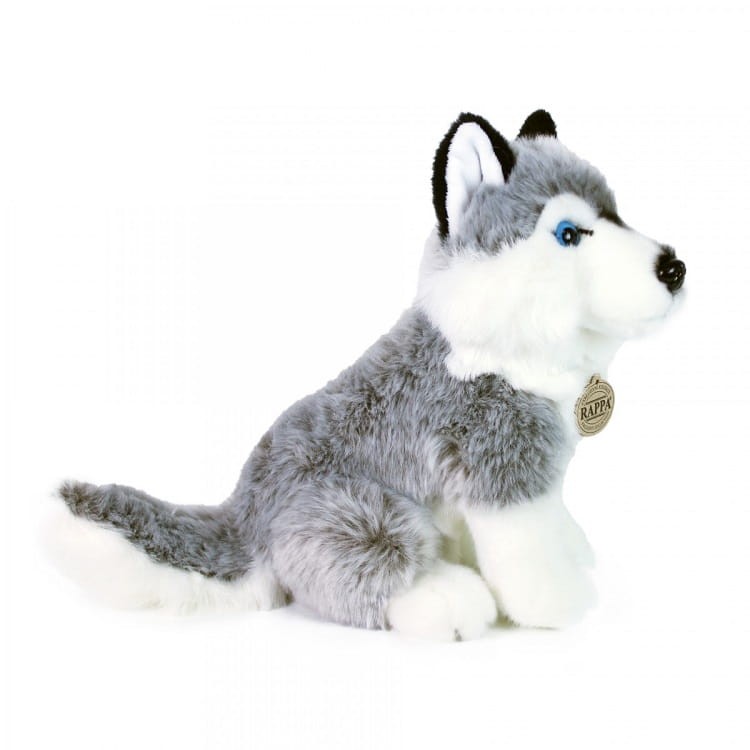 a7fec2f1eac425a8f2f581e55a2d38e6