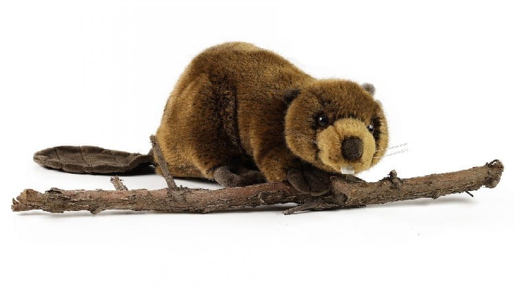 91bd7040de8e3286a4db6a32891934b4