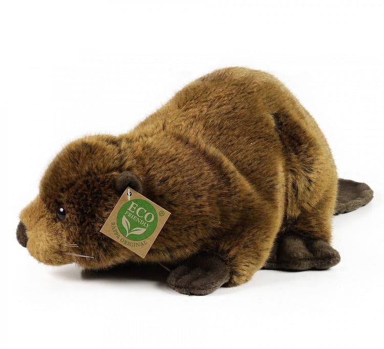 0392c08eb2929e441c4e1ce8d70d1b11