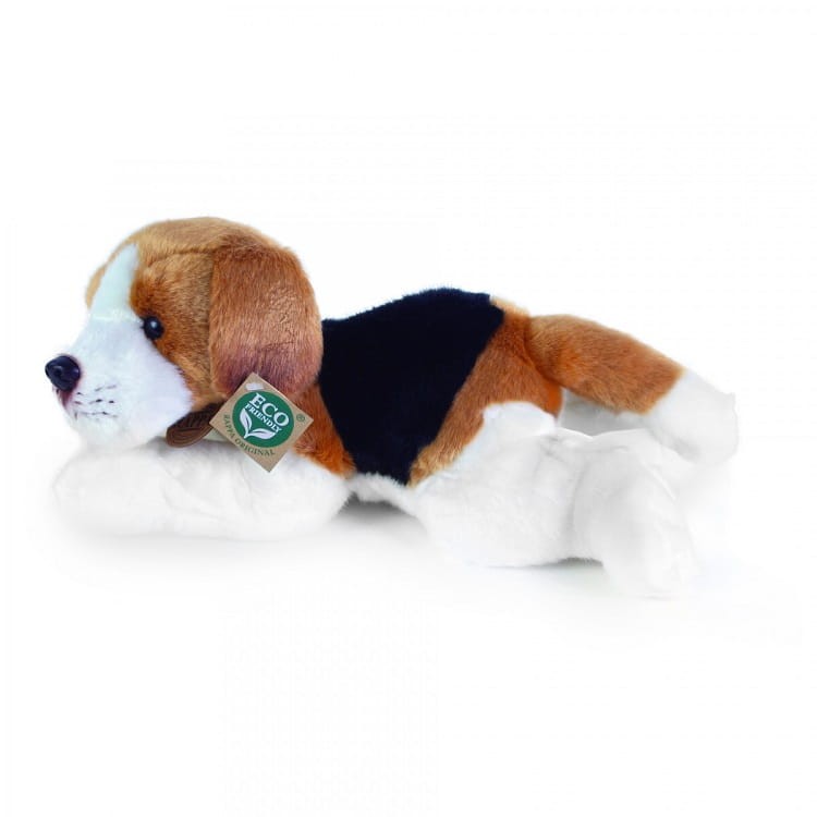 1b1347b246a9ac463529c7a97116d46f