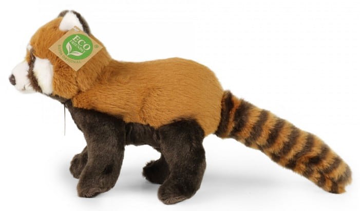 599906d547a4b83e58963ad0c03434ee