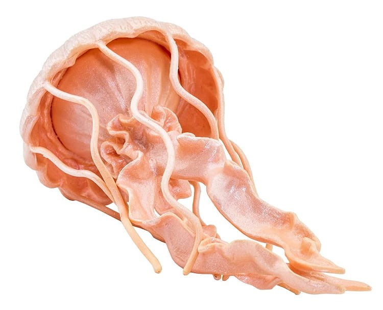 049341fdc98640acaf362908c7207fe6